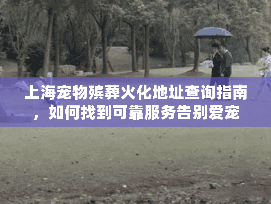 上海宠物殡葬火化地址查询指南，如何找到可靠服务告别爱宠