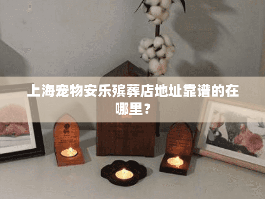 上海宠物安乐殡葬店地址靠谱的在哪里？
