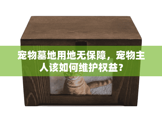 宠物墓地用地无保障，宠物主人该如何维护权益？