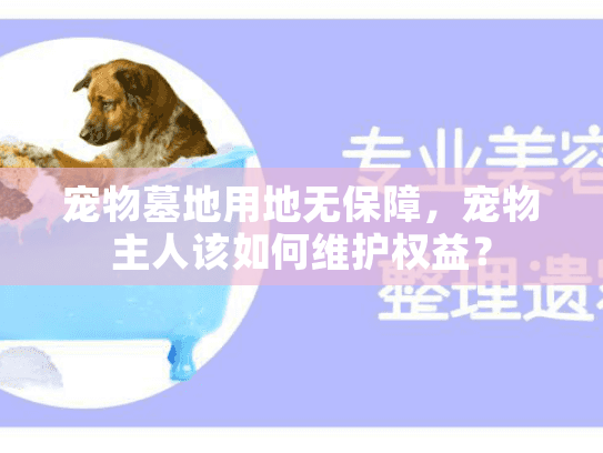 宠物墓地用地无保障，宠物主人该如何维护权益？