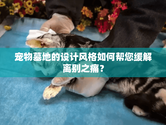 宠物墓地的设计风格如何帮您缓解离别之痛？