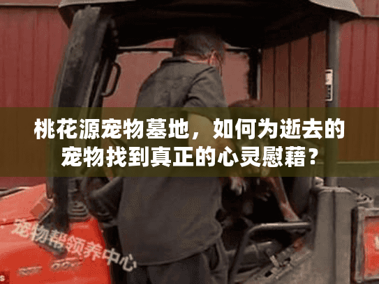 桃花源宠物墓地，如何为逝去的宠物找到真正的心灵慰藉？