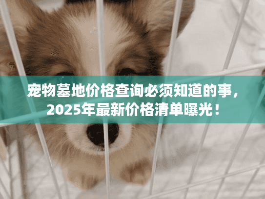 宠物墓地价格查询必须知道的事，2025年最新价格清单曝光！