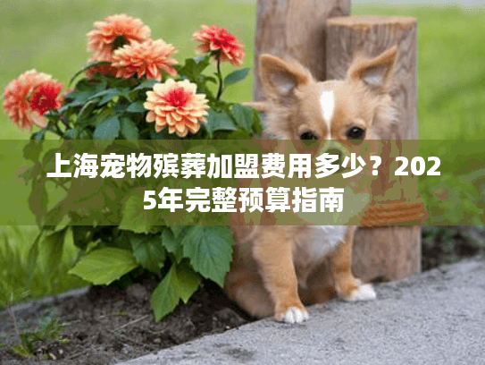 上海宠物殡葬加盟费用多少？2025年完整预算指南