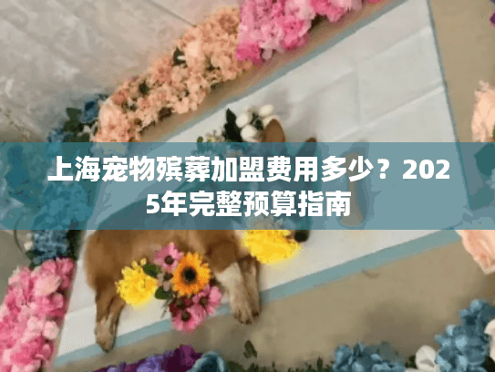 上海宠物殡葬加盟费用多少？2025年完整预算指南