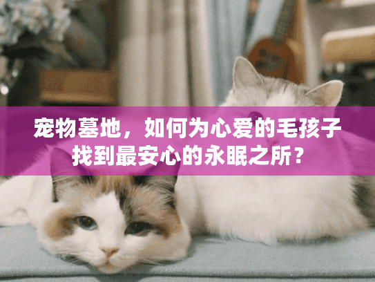 宠物墓地，如何为心爱的毛孩子找到最安心的永眠之所？