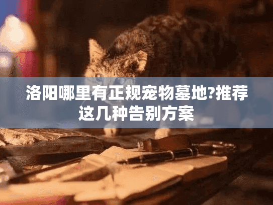 洛阳哪里有正规宠物墓地?推荐这几种告别方案