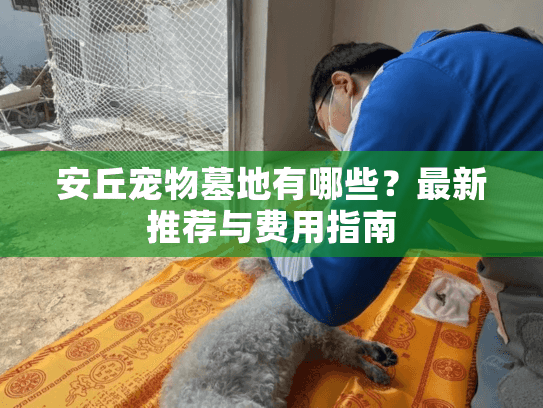 安丘宠物墓地有哪些？最新推荐与费用指南