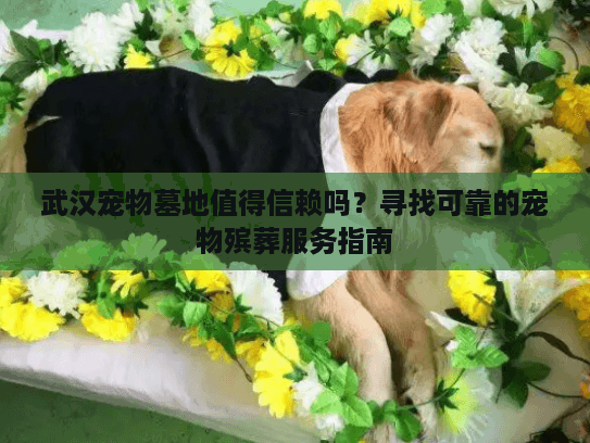 武汉宠物墓地值得信赖吗？寻找可靠的宠物殡葬服务指南
