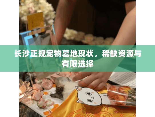 长沙正规宠物墓地现状，稀缺资源与有限选择