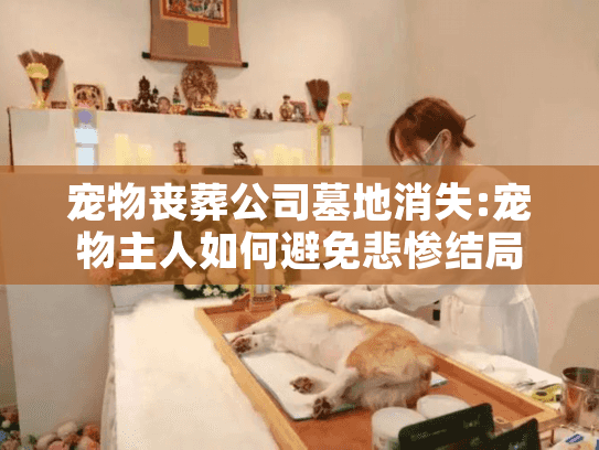 宠物丧葬公司墓地消失:宠物主人如何避免悲惨结局?