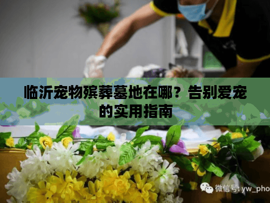 临沂宠物殡葬墓地在哪？告别爱宠的实用指南