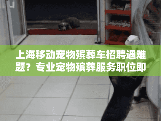 上海移动宠物殡葬车招聘遇难题？专业宠物殡葬服务职位即刻填补中！