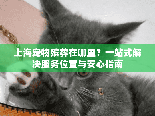上海宠物殡葬在哪里？一站式解决服务位置与安心指南