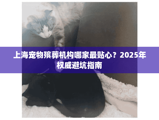 上海宠物殡葬机构哪家最贴心？2025年权威避坑指南