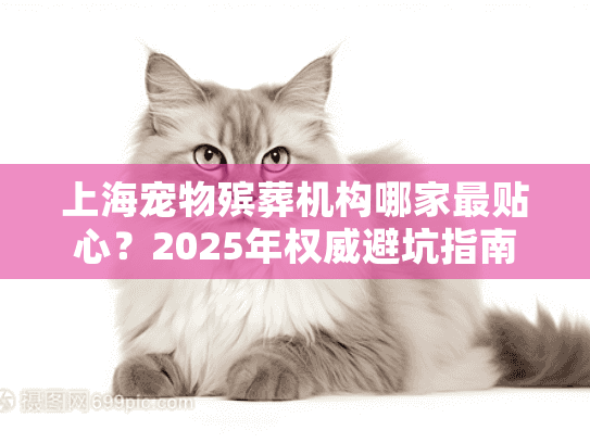 上海宠物殡葬机构哪家最贴心？2025年权威避坑指南
