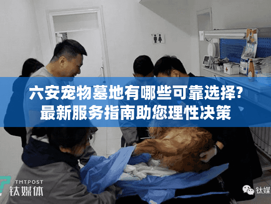 六安宠物墓地有哪些可靠选择?最新服务指南助您理性决策