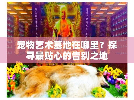 宠物艺术墓地在哪里？探寻最贴心的告别之地