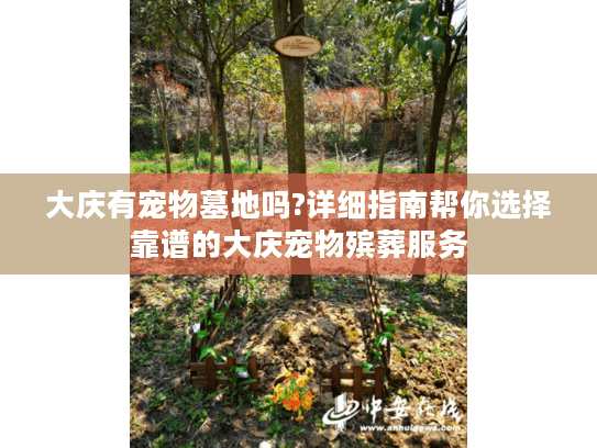 大庆有宠物墓地吗?详细指南帮你选择靠谱的大庆宠物殡葬服务