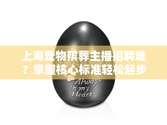 上海宠物殡葬主播招聘难？掌握核心标准轻松起步
