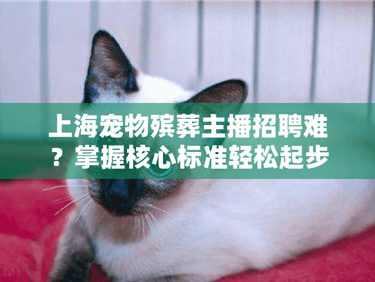 上海宠物殡葬主播招聘难？掌握核心标准轻松起步
