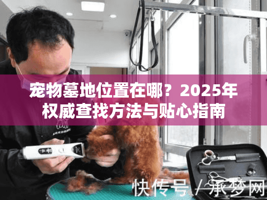 宠物墓地位置在哪？2025年权威查找方法与贴心指南