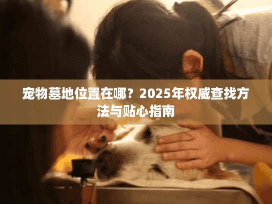宠物墓地位置在哪？2025年权威查找方法与贴心指南
