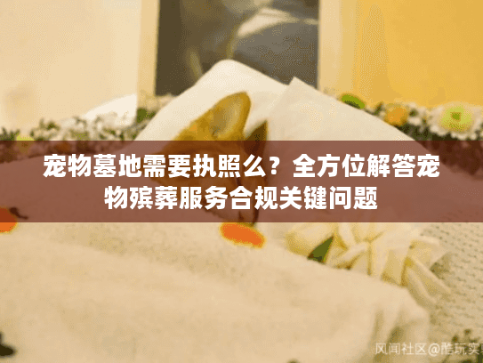 宠物墓地需要执照么？全方位解答宠物殡葬服务合规关键问题