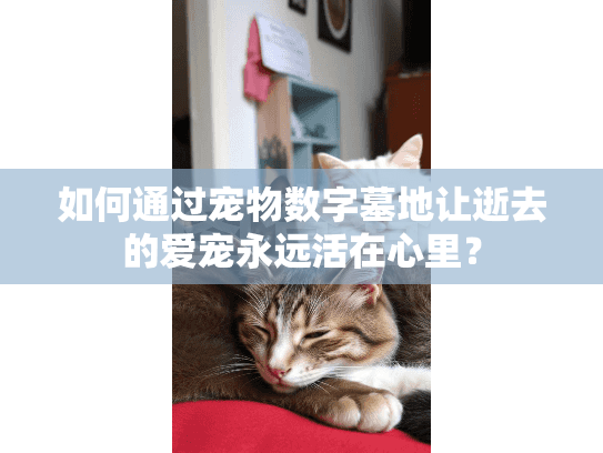如何通过宠物数字墓地让逝去的爱宠永远活在心里？