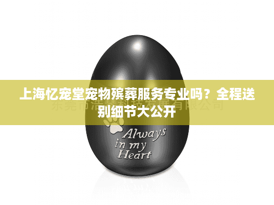 上海忆宠堂宠物殡葬服务专业吗？全程送别细节大公开