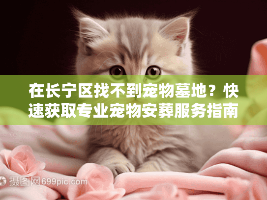 在长宁区找不到宠物墓地？快速获取专业宠物安葬服务指南