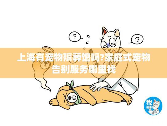 上海有宠物殡葬馆吗?家庭式宠物告别服务哪里找