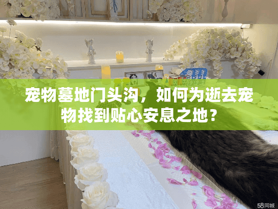 宠物墓地门头沟，如何为逝去宠物找到贴心安息之地？