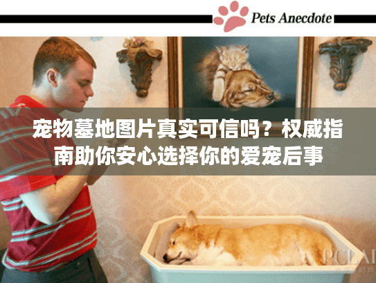 宠物墓地图片真实可信吗？权威指南助你安心选择你的爱宠后事