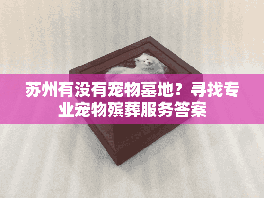 苏州有没有宠物墓地？寻找专业宠物殡葬服务答案