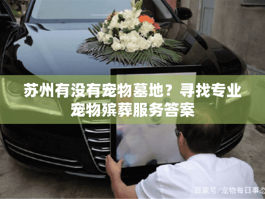 苏州有没有宠物墓地？寻找专业宠物殡葬服务答案