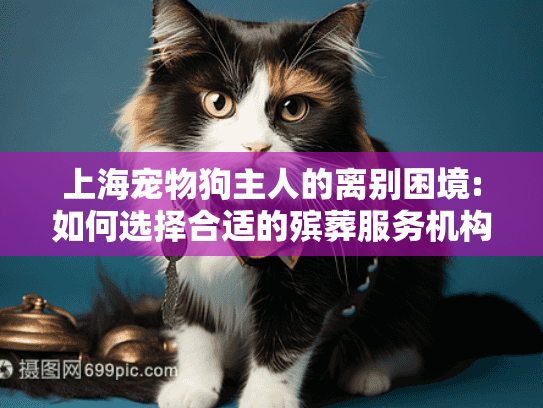 上海宠物狗主人的离别困境:如何选择合适的殡葬服务机构?