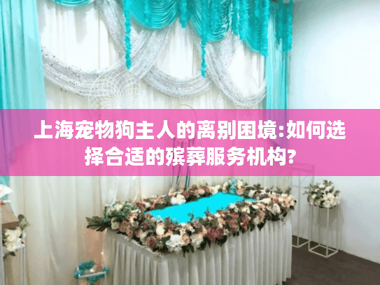 上海宠物狗主人的离别困境:如何选择合适的殡葬服务机构?