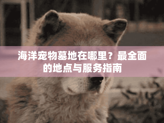 海洋宠物墓地在哪里？最全面的地点与服务指南