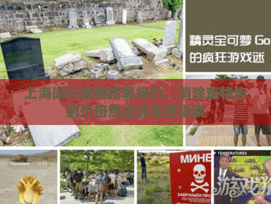 上海闵行宠物殡葬报价，消除宠物告别价格焦虑的实用指南