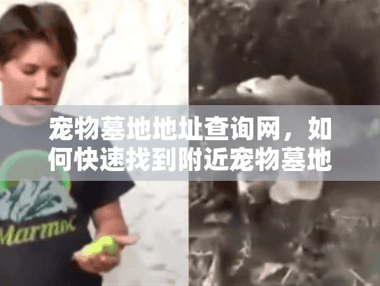 宠物墓地地址查询网，如何快速找到附近宠物墓地服务？