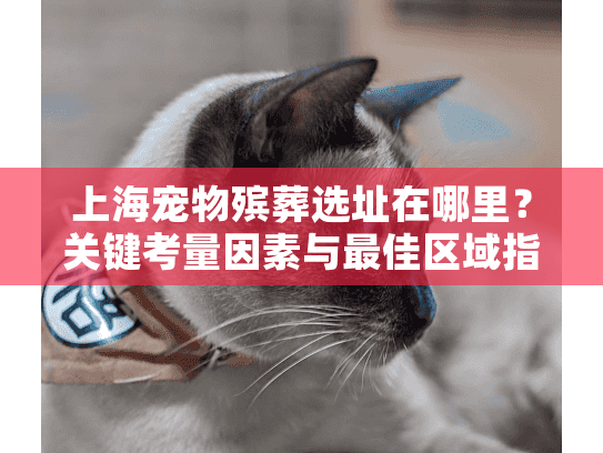 上海宠物殡葬选址在哪里？关键考量因素与最佳区域指南