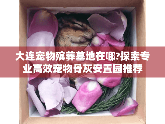 大连宠物殡葬墓地在哪?探索专业高效宠物骨灰安置园推荐