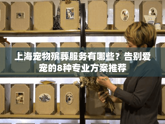 上海宠物殡葬服务有哪些？告别爱宠的8种专业方案推荐
