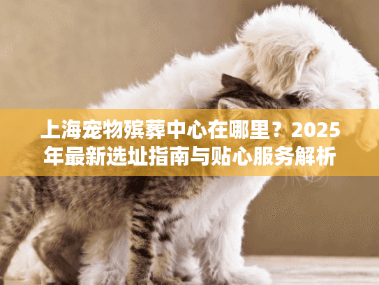 上海宠物殡葬中心在哪里？2025年最新选址指南与贴心服务解析