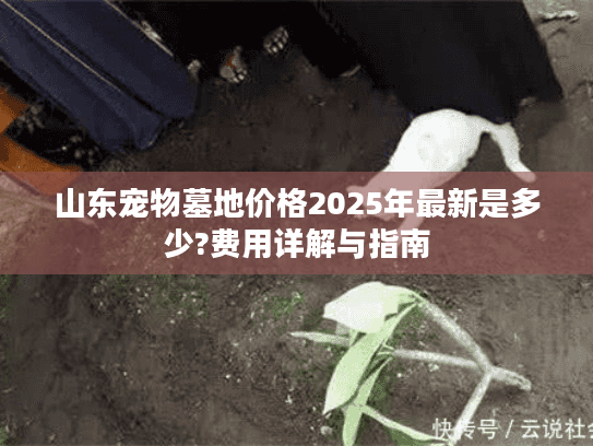 山东宠物墓地价格2025年最新是多少?费用详解与指南