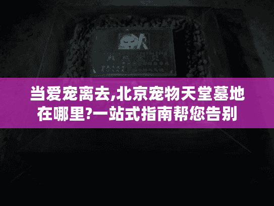 当爱宠离去,北京宠物天堂墓地在哪里?一站式指南帮您告别