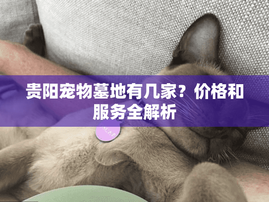 贵阳宠物墓地有几家？价格和服务全解析