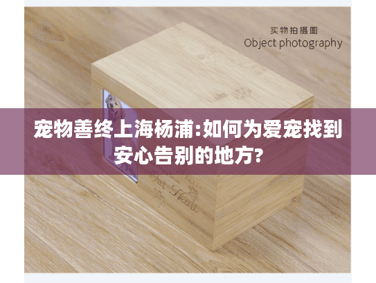 宠物善终上海杨浦:如何为爱宠找到安心告别的地方?