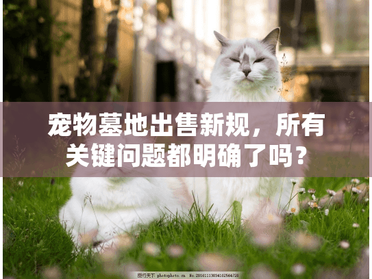 宠物墓地出售新规，所有关键问题都明确了吗？